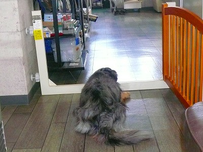 打合せ＋会議＋資料作り