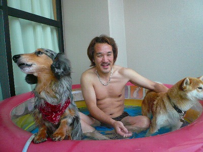 トラック　段取り、、、プール開き