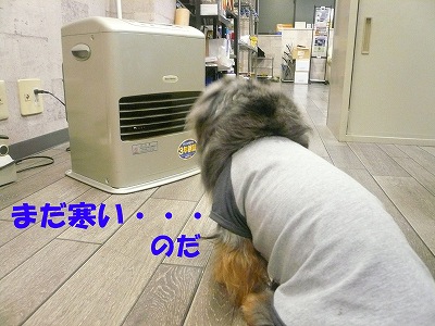 千客万来　！