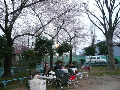 クリックすると拡大します。 お花見 夜桜 酒飲み大会