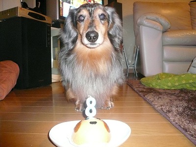 クリックすると拡大します。 青木 ヴィッキー ぼく、8才 ♪
