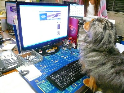 クリックすると拡大します。 デスクワーク