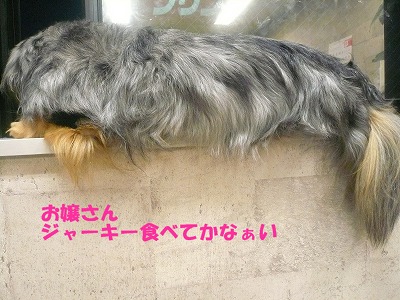 ＲＸ−ＲＡＣＥ　第四戦　最終戦　積み込み